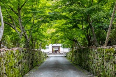 京都 興聖寺の青もみじ