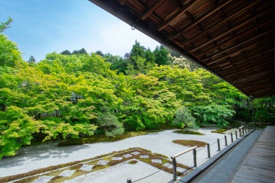 京都 天授庵の青もみじ