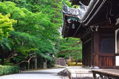 京都 泉涌寺の青もみじ