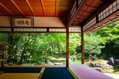 京都 圓徳院の青もみじ