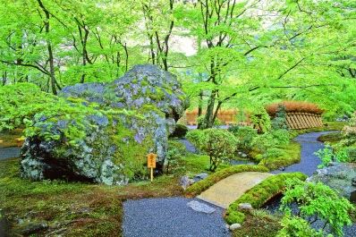 京都 宝厳院の青もみじ