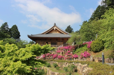 滋賀 石山寺の青もみじ