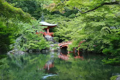 京都 醍醐寺の青もみじ