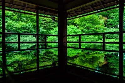 滋賀 旧竹林院の青もみじ