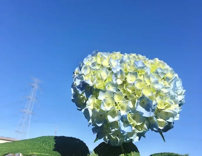 ポイント③