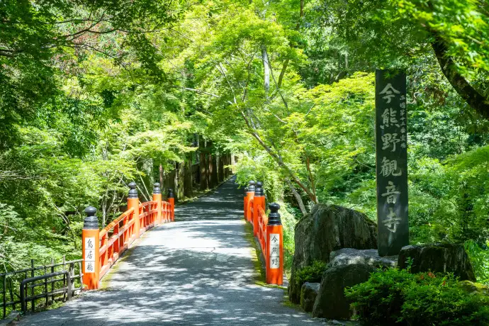 京都 今熊野観音寺の青もみじ