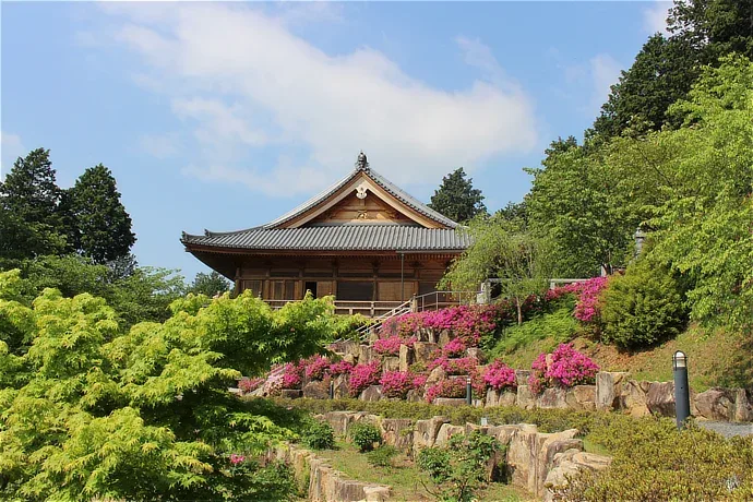 滋賀 石山寺の青もみじ
