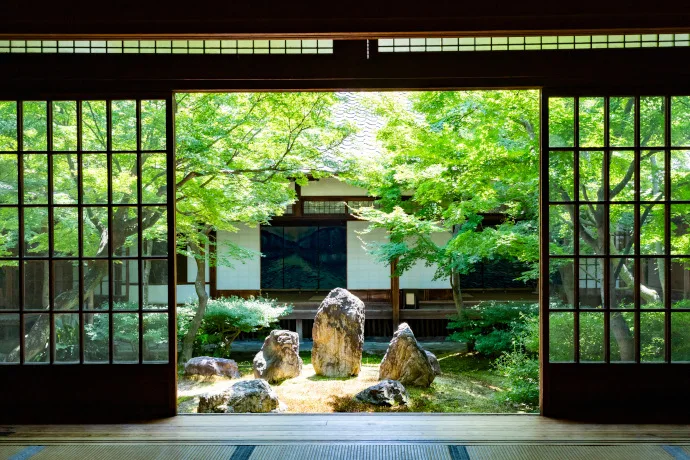 京都 建仁寺の青もみじ