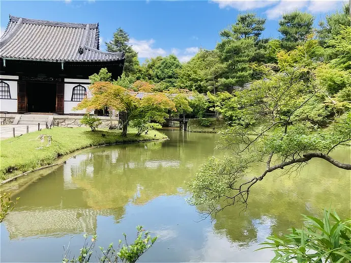 京都 高台寺の青もみじ