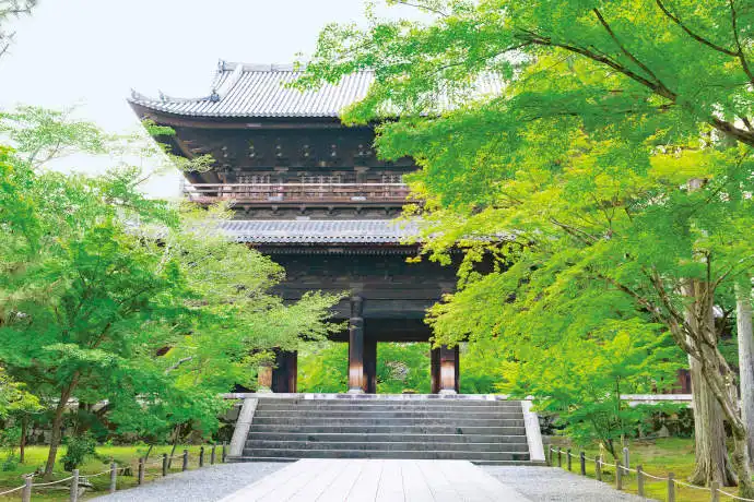 京都 南禅寺の青もみじ
