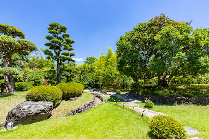 京都 松花堂庭園の青もみじ