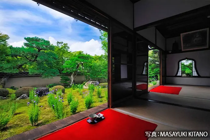 京都 天得院の桔梗