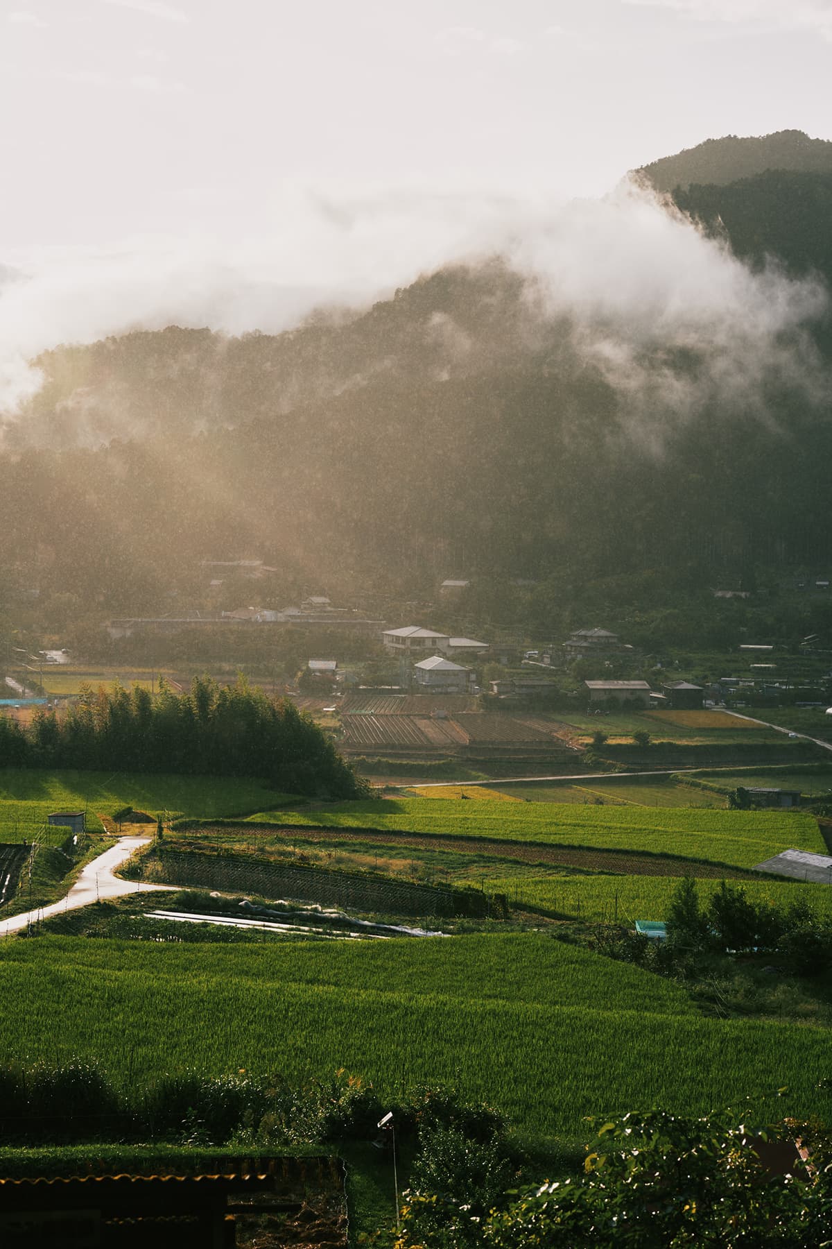 京阪大原三千院