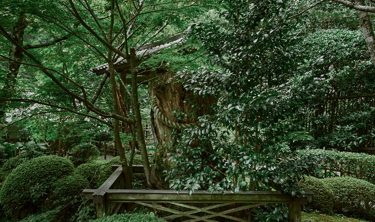京阪大原三千院