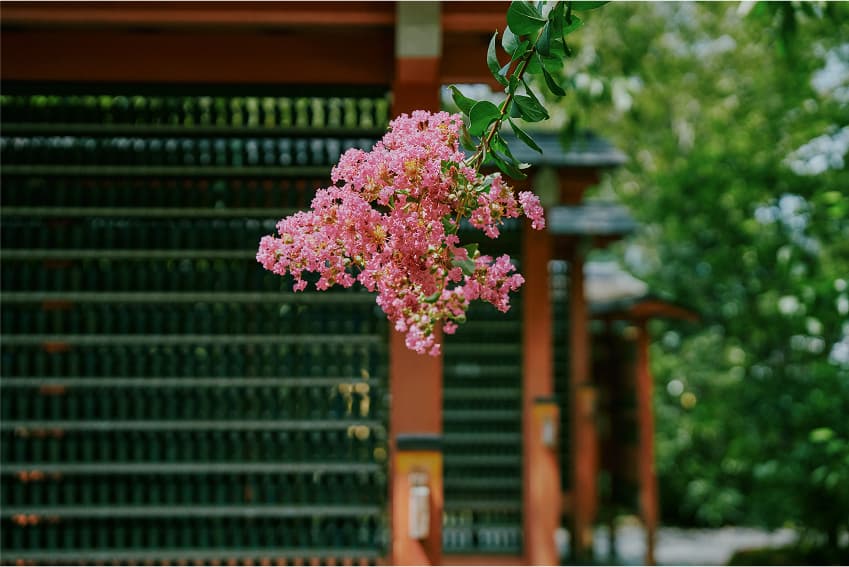 京阪大原三千院