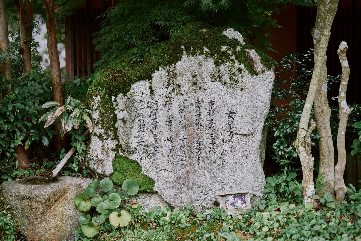 源氏物語、方丈記、平家物語・・・。古典文学にも描かれてきた隠れ里・大原の物語。