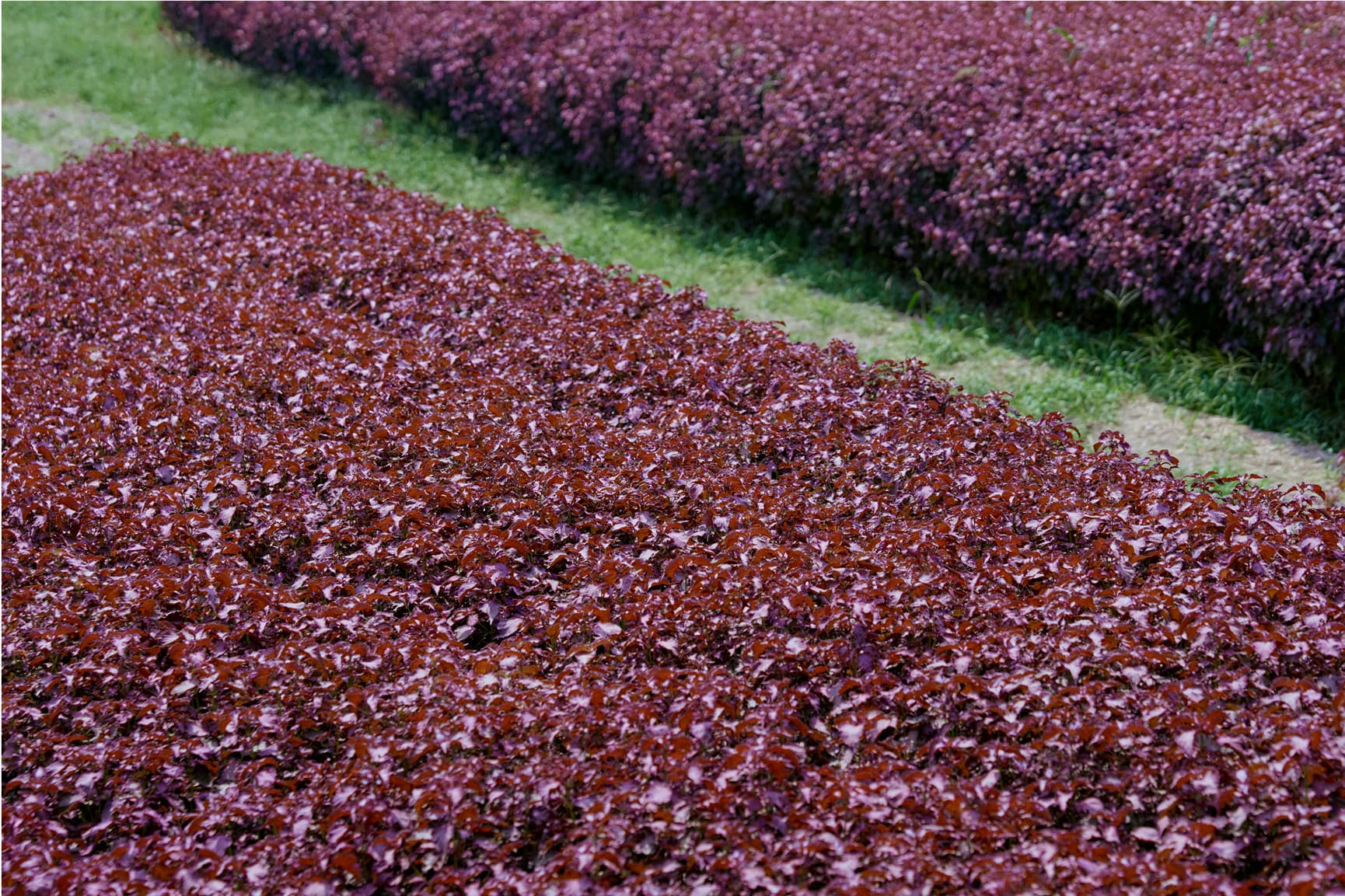 京阪大原三千院