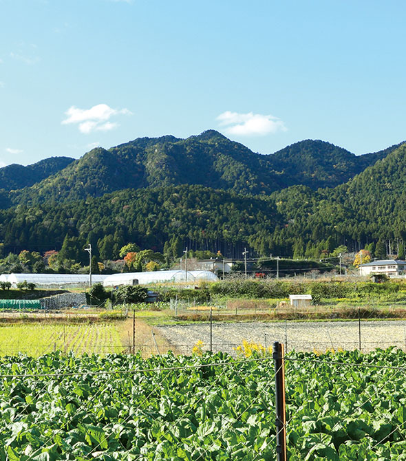 自然豊かな山里 大原