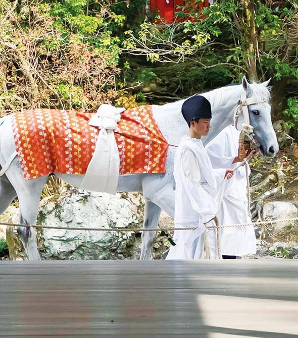 京都の神社と馬