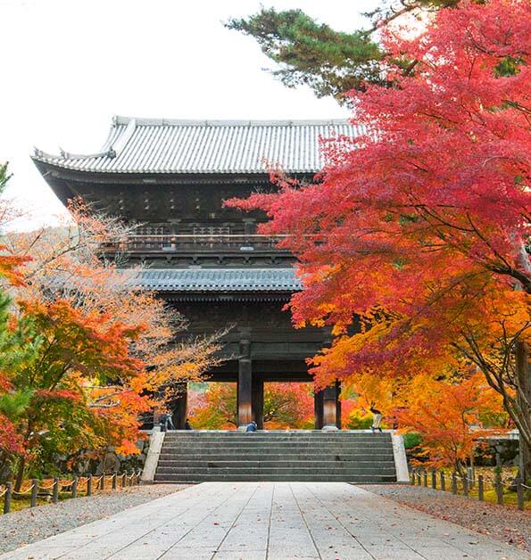 四季 × 京都