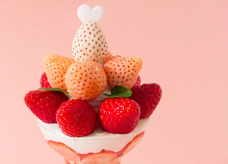 いちご園バリエーション