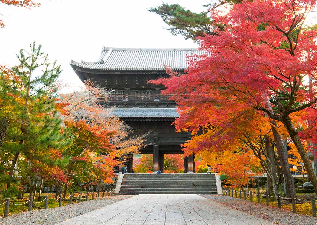 南禅寺の紅葉