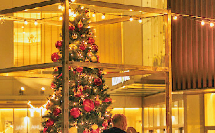 イルミネーションで輝くツリー