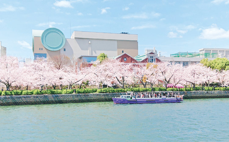 大川さくらクルーズ