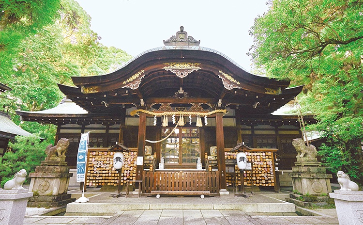 うさぎが神使の、別名「うさぎ神社」
