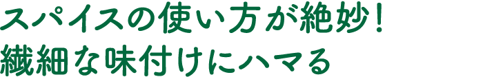スパイスの使い方が絶妙！繊細な味付けにハマる