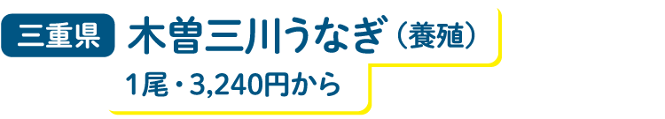 三重県 木曽三川うなぎ（養殖）