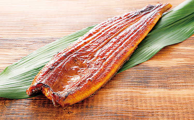 鮮魚売場