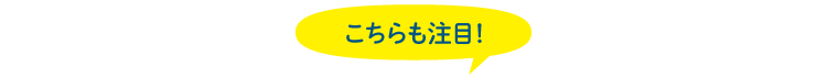 こちらも注目！