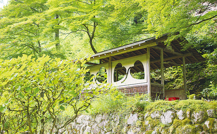 1万5千坪の敷地内にある東屋のひとつ「彩雲亭」