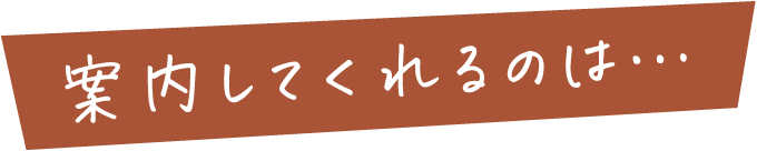 案内してくれるのは…