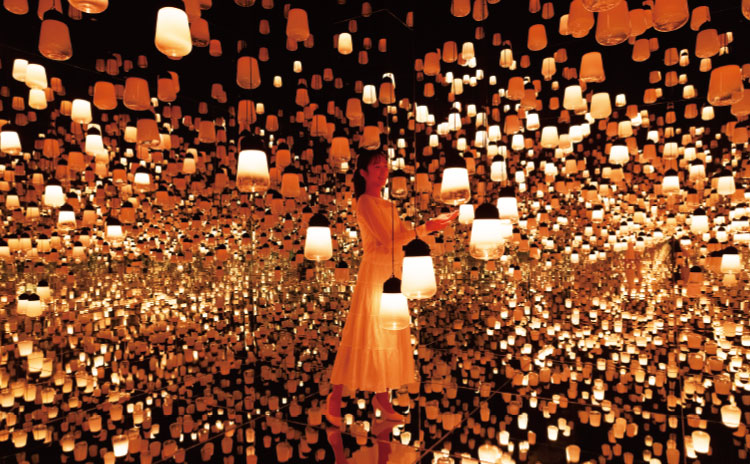 《呼応するランプの森》