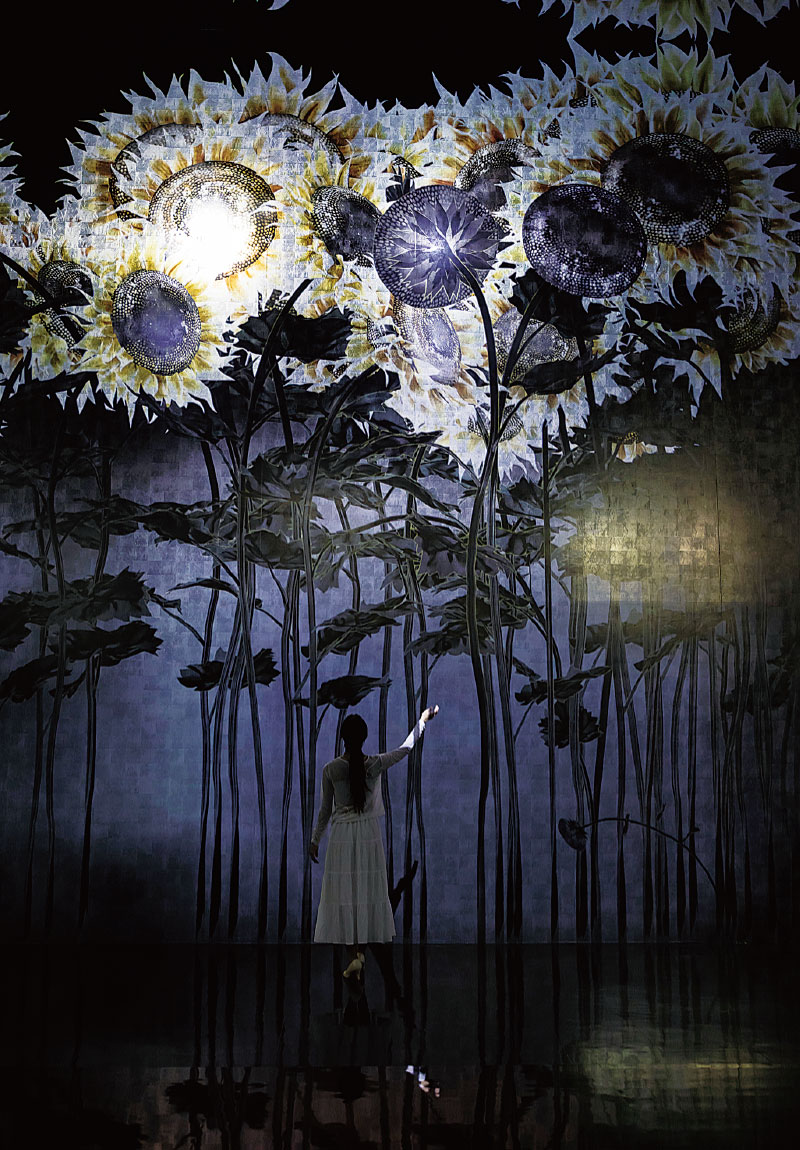 《内に秘めた輝き》