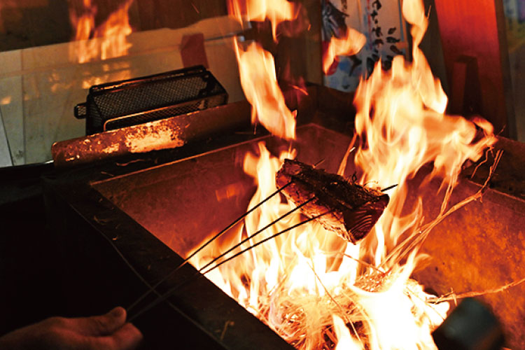 高知県のカツオ