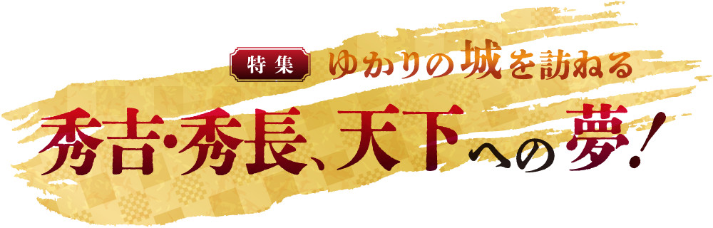 特集 ゆかりの城を訪れる 秀吉・秀長、天下への夢！