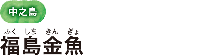 中之島 福島金魚