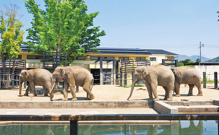 1903(明治36)年に開園した日本で2番目に歴史のある動物園。図書館とあわせて立ち寄ろう