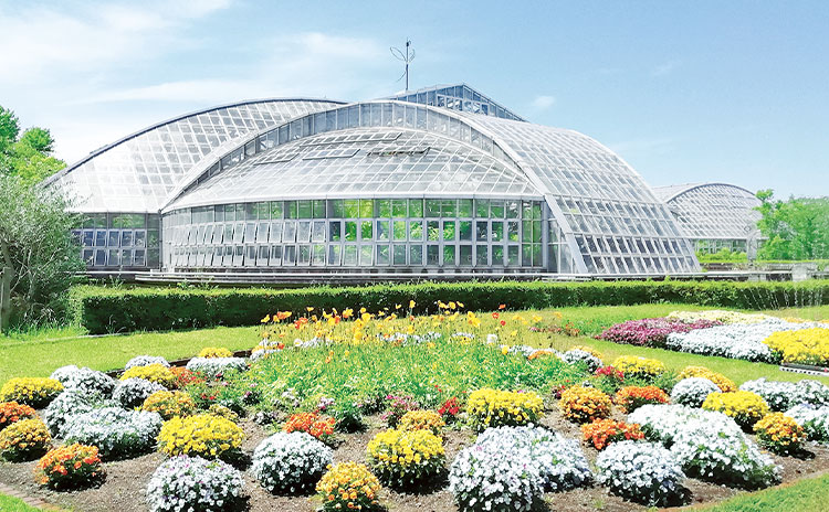 日本最古の公立植物園。広い園内には約4,500種類の植物が展示される観覧温室も
