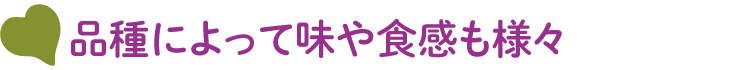 品種によって味や食感も様々