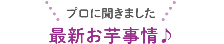 プロに聞きました 最新お芋事情♪