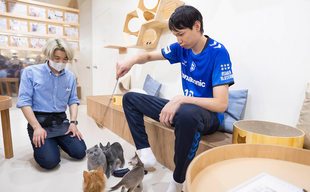 ナチュラルな雰囲気の清潔な店内で、ドリンクバーを楽しみながらネコと触れ合える「Cat Café MOFF」。山内選手がクルクルと回すおもちゃ（自由に使用OK）に夢中になるネコたちに癒やされる。【Cat Café MOFF】営業時間：10時～19時30分（入園）／料金：30分700円（延長10分につき250円。最大料金 平日1,900円、土・日・祝・休日2,900円）※ドリンク代380円が別途必要／電話：072-896-7400