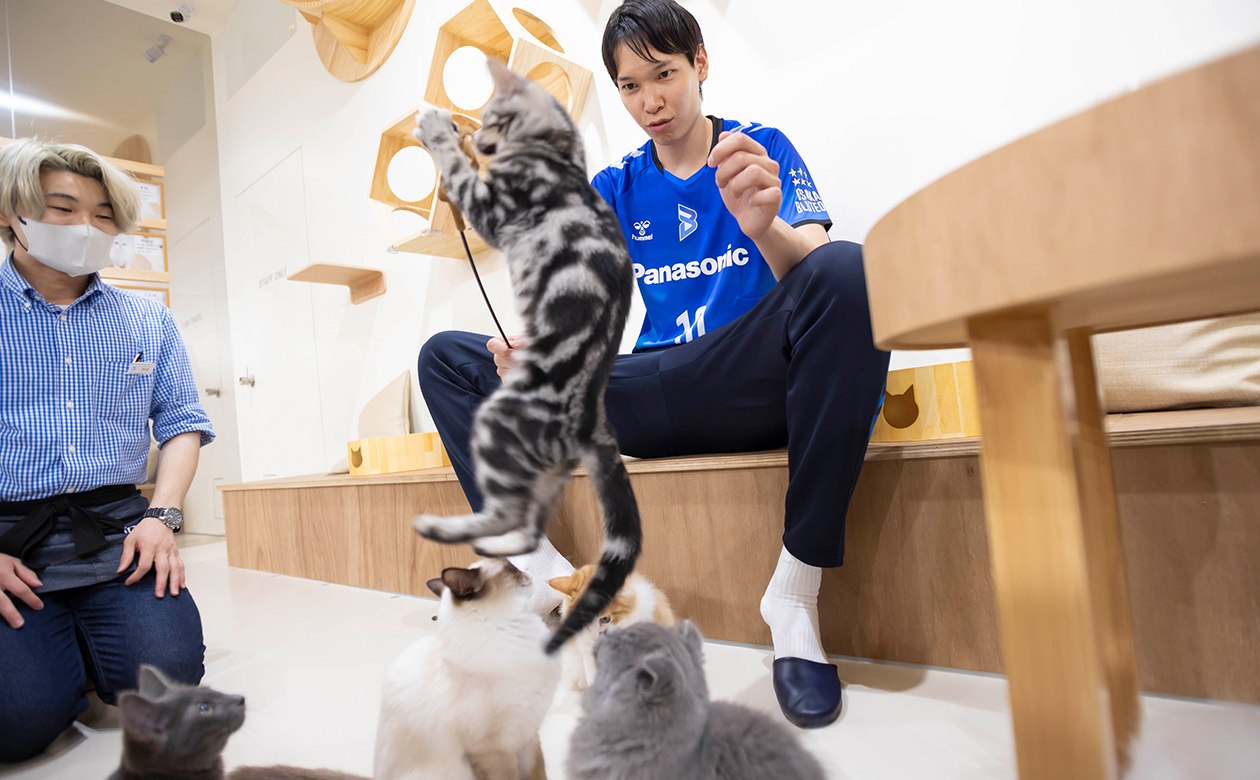 ネコが好きというだけにネコの気持ちをつかむのがうまい山内選手。おもちゃを巧みに操り、チップの見事なジャンプを引き出す。