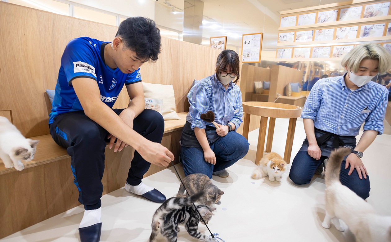 おもちゃを使って、ネコたちを遊ばせる西川選手。ネコを見つめるまなざしがやさしい。