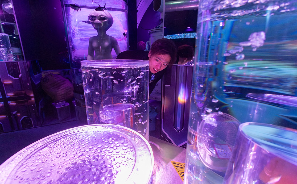 仲本選手がのぞき込んだ水槽には小さな熱帯魚たちが優雅に泳ぐ姿が。そのすぐ後ろには宇宙人!？ミステリアスで幻想的な水槽があちこちに展示されている。