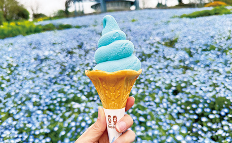 「びわ湖ソフトクリーム／600円」