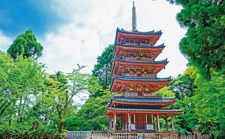 海住山寺［②③コース］